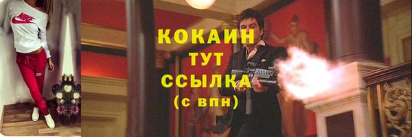 стаф Каменка