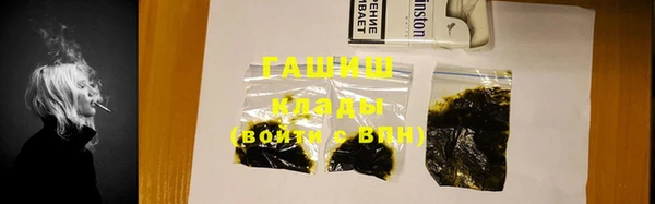 стаф Каменка